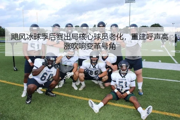 飓风冰球季后赛出局核心球员老化，重建呼声高涨吹响变革号角